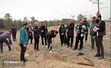 کاشت 2000 نهال مثمر در بوستان جنگلی چیتگر 1