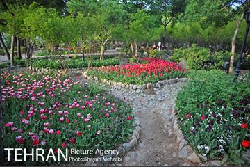 باغ ایرانی (بوستان مهندس مختاری) 20