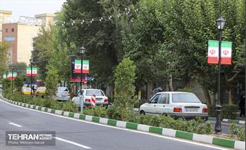 رفیوژ های همیشه سبز 15