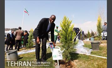 آیین کاشت درخت صلح و دوستی 39