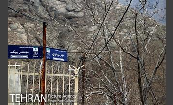 وردیج ، دنیایی از زیبایی 34