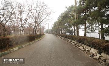 به وقت خدمت؛ مسیر زندگی 16