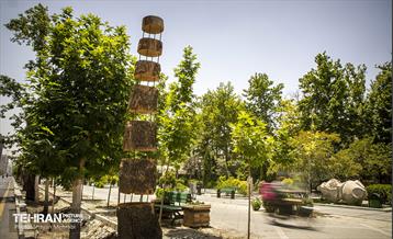 جان دوباره در درختستان 27