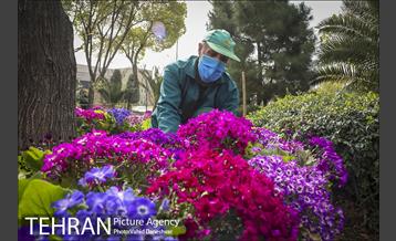 اجرای طرح استقبال از نوروز ۱۴۰۰ در منطقه 17