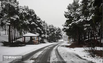 روز برفی تهران - 2 46