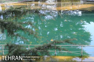 بوستان جمشیدیه (باغ سنگی جمشیدیه) 41