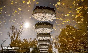 سمفونی رنگ های پاییزی - پارک لاله 5