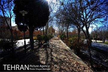 بوستان پلیس 16