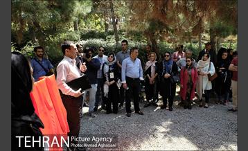 افتتاح اولین "باغچه خبر" در تهران 11