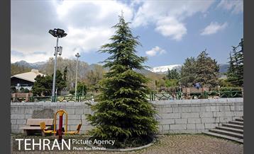 بوستان نیاوران 22