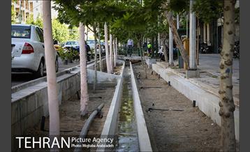 گلکاری در خیابان ولیعصر 22