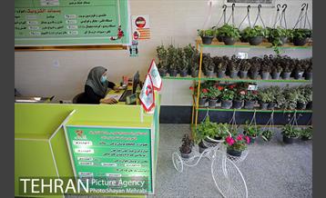 طرح گلماند در منطقه 18