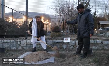 مراسم سومین آیین کاشت نهال صلح و دوستی  31