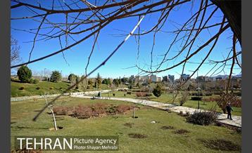 بوستان پلیس 33