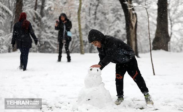 تهران برفی 8