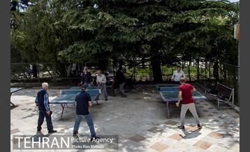 بوستان نیاوران 16