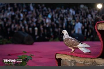 جشن بزرگ روز دختر  19