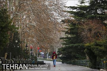 پارک ملت در یک روز زمستانی 18