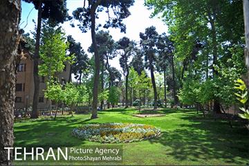 عمارت مسعودیه 49