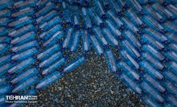 اقیانوس پارک  15