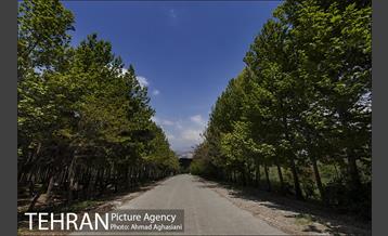 بوستان جنگلی سرخه حصار 14