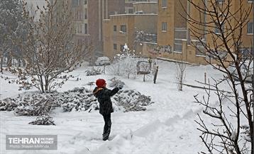 بارش برف در تهران 20