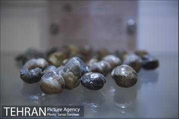 موزه طبیعت و حیات وحش ایران دارآباد‎ 10
