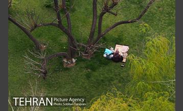 روز طبیعت در اراضی عباس آباد  10