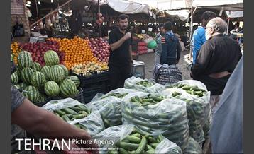 زائران اربعین حسینی 1 2