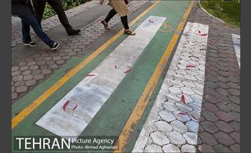 بلوار کشاورز 29