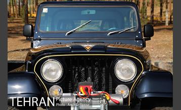 کارناوال ماشین های کلاسیک 10