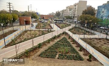 بازدید مشترک مدیران شهری برای کمک به پیشرفت پروژه باغ راه حضرت فاطمه زهرا (س) 4