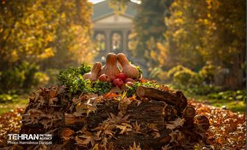 گذرگاه های پاییزی پایتخت - باغ فردوس  18