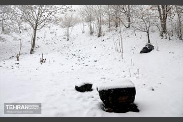 بارش برف زمستانی در تهران 17