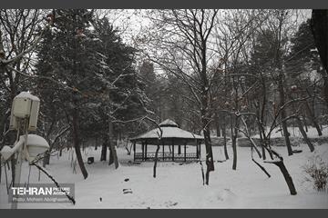 روز برفی تهران - 2 27