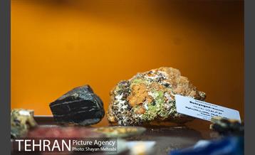 موزه علوم زمین 23