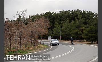 سیزدهمین رالی خانوادگی شهر تهران 29