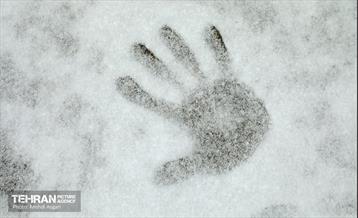 بارش برف زمستانی در منطقه ۲ 10