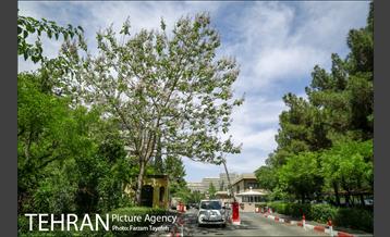 شهرنگار؛ شهرک اکباتان 19