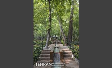 بوستان باغ ایرانی 39