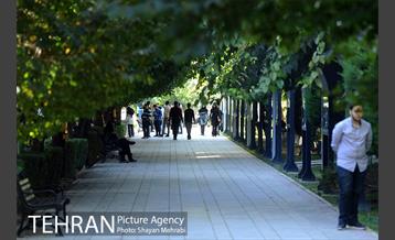 بوستان هنرمندان (ایرانشهر) 23