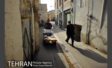 چرخ دستی های بازار 7