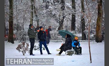 روز برفی در پارک لاله 3