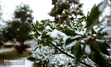 روز برفی در منطقه 8 14