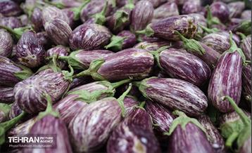 افتتاح ۲ بازار میوه و تره‌بار در تهران 23