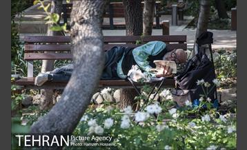 بوستان باغ ایرانی 14