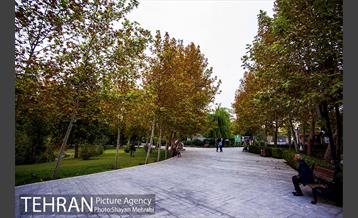 پاییز پارک شهر 26