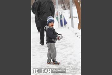 بارش برف در تهران 25