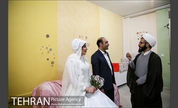 جشن ازدواج دو کارتن خواب بهبود یافته 18