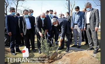 مراسم کاشت درخت صلح و دوستی 22